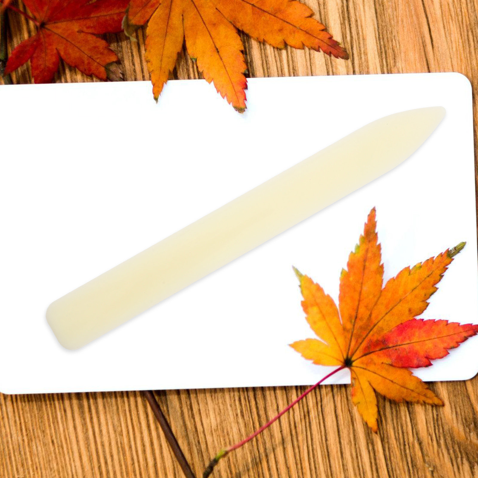 5 pièces, plieuse à os en plas - Bone Folder Tool avis et prix